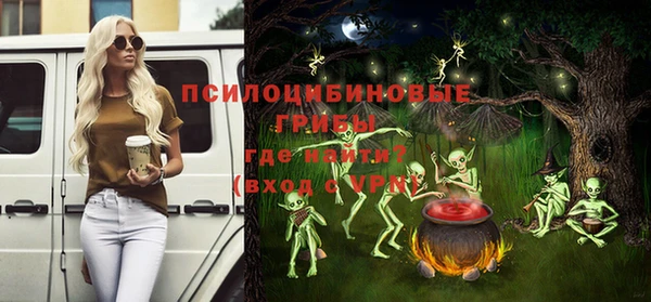 соль ск Алзамай