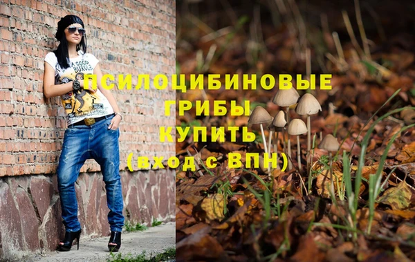 spice Абинск