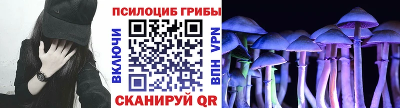 как найти закладки Котельнич Псилоцибиновые грибы мухоморы
